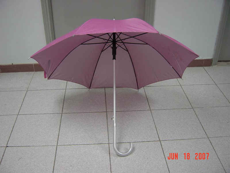 a12303-1.jpg (152438 bytes)