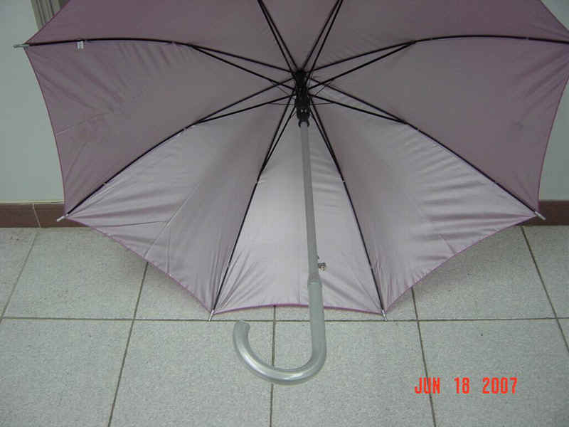 a12303-4.jpg (152372 bytes)