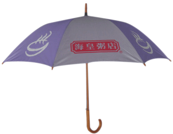 123819-3.gif (36817 bytes)