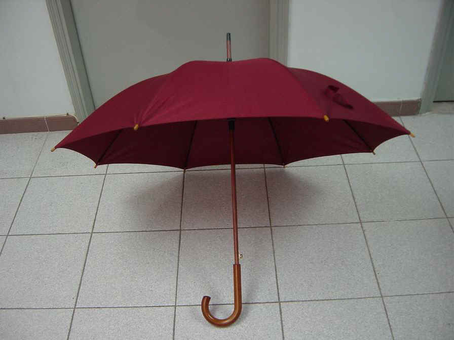 w12307_1.jpg (71060 bytes)