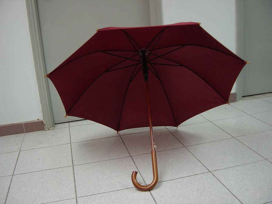 w12307_2.jpg (63712 bytes)