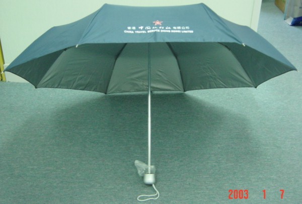 A32109_1.jpg (48213 bytes)