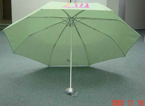 DSC01333.JPG (25897 bytes)