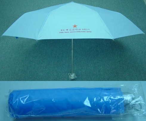 DSC01338_R.jpg (39682 bytes)