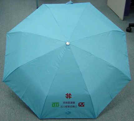 DSC01336-1.JPG (20448 bytes)