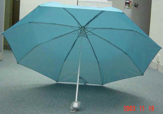 DSC01336.JPG (31954 bytes)