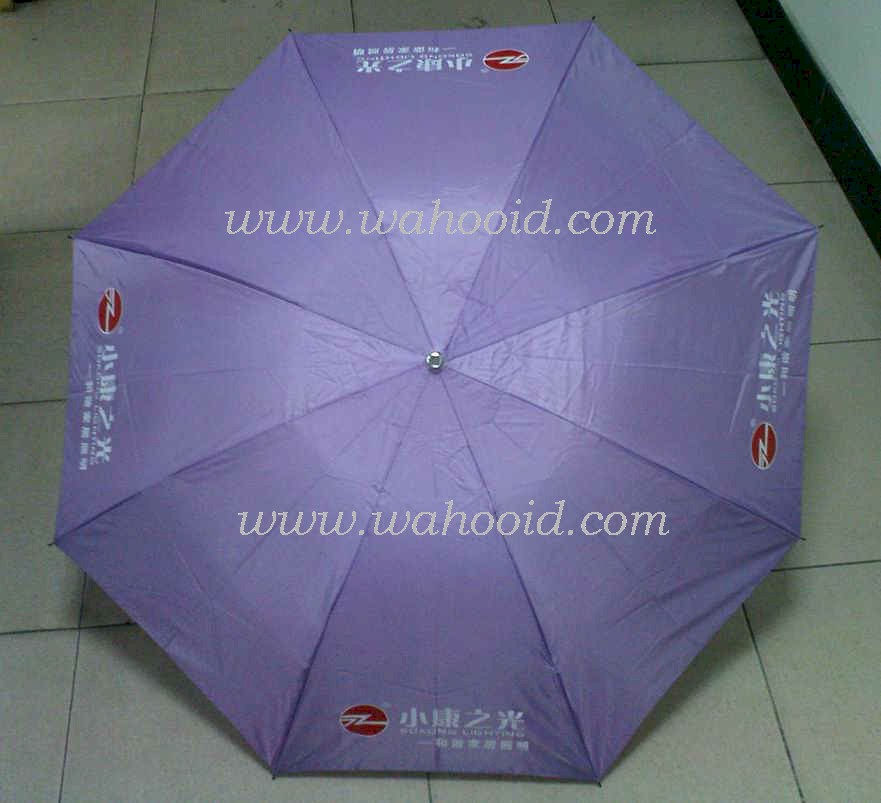 M320502_1.JPG (76137 bytes)