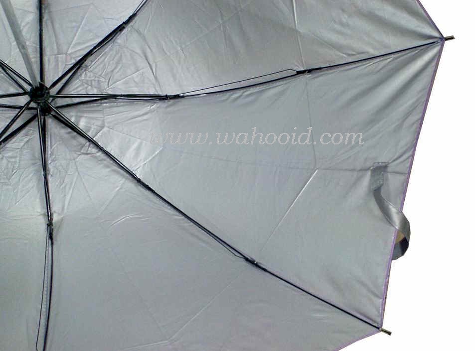 M320502_6.JPG (72565 bytes)