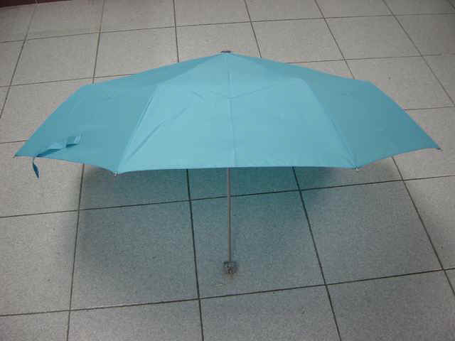 a32121-1.jpg (39865 bytes)