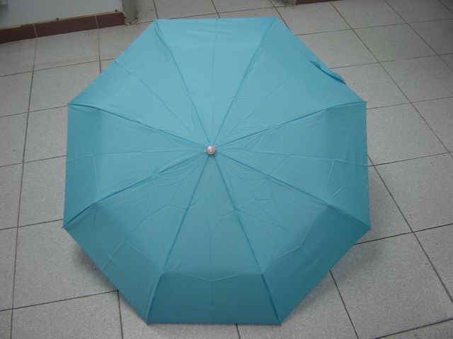 a32121-3.jpg (34636 bytes)