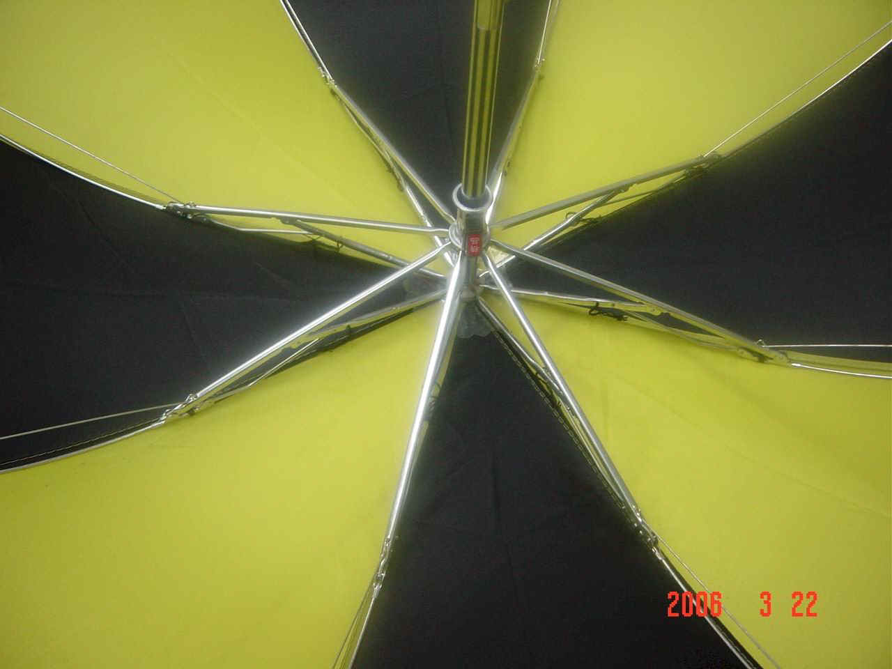 m32110_4.jpg (66773 bytes)