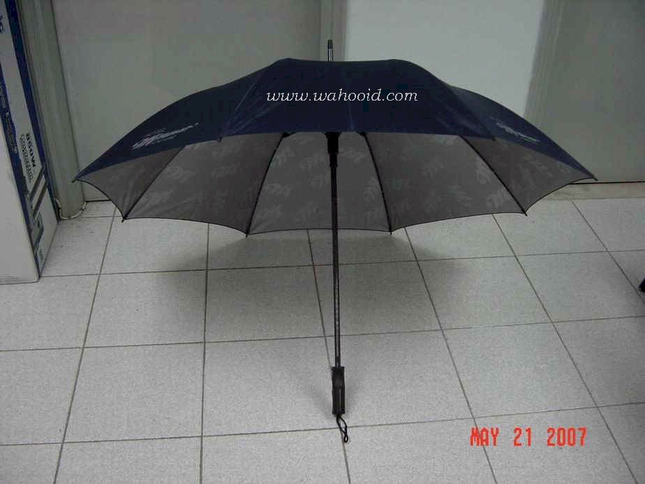 f12701-1.jpg (81178 bytes)