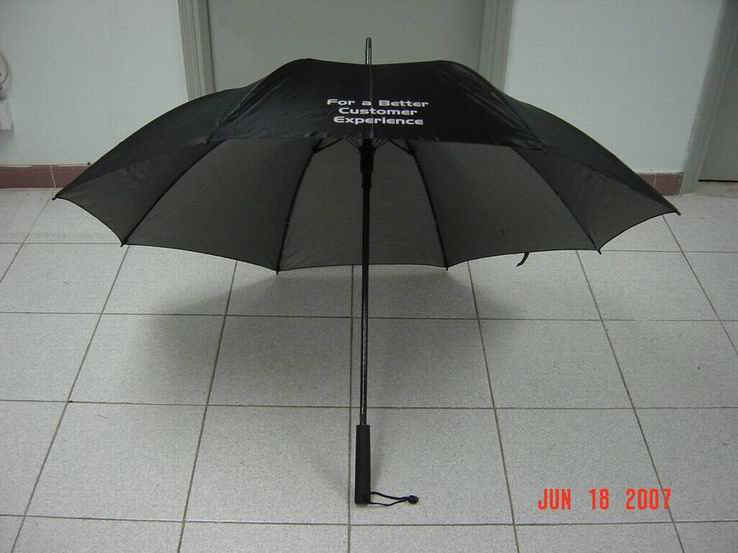 f12703-1.jpg (55977 bytes)