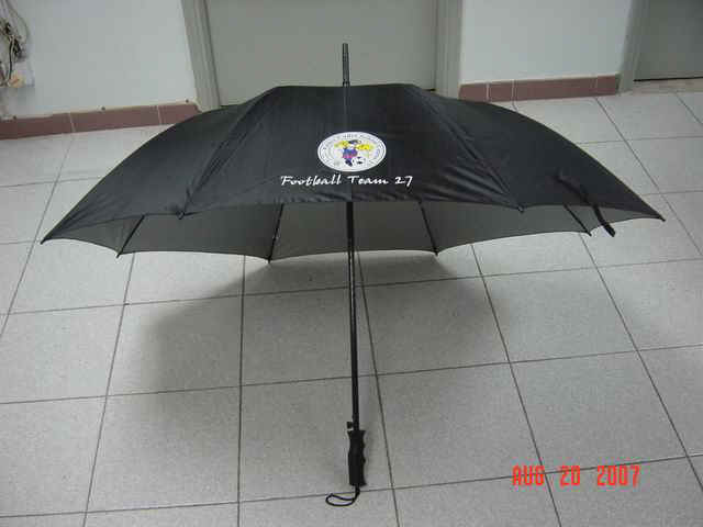 f12704-1.jpg (42423 bytes)