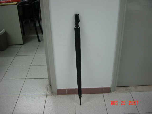 f12704-2.jpg (29919 bytes)