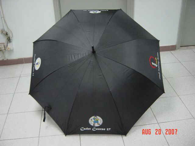 f12704-4.jpg (34509 bytes)