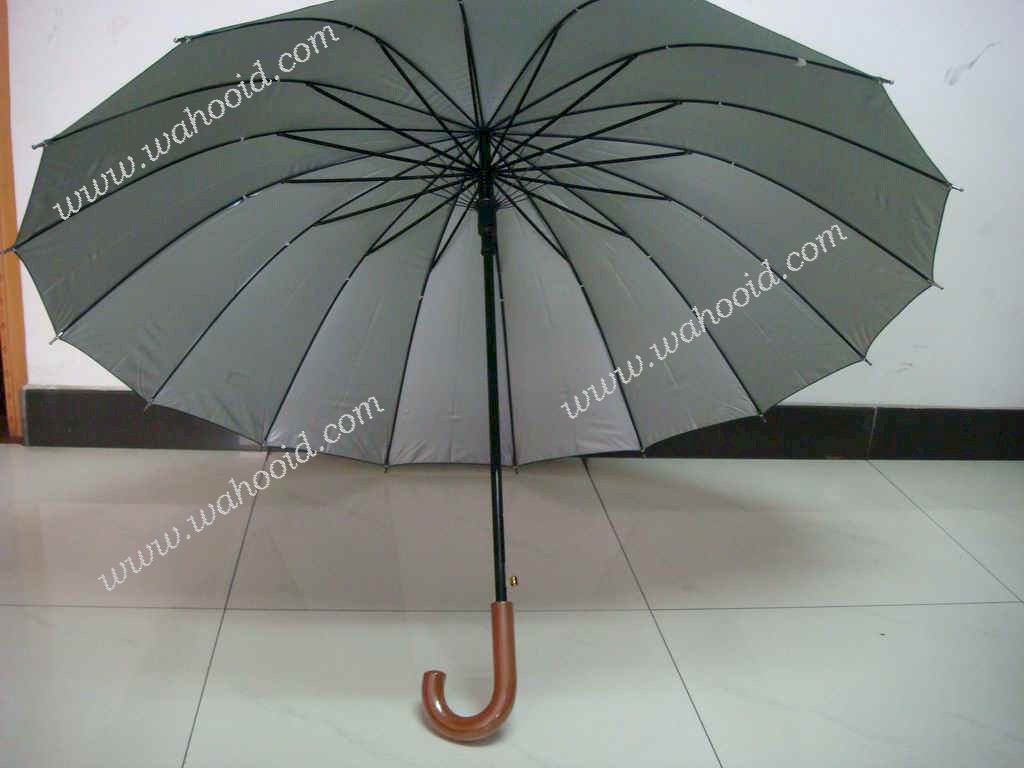 gf-27x16K-auto-02_1.JPG (83596 bytes)