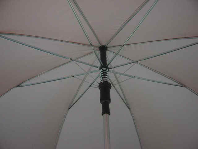 gf-27x8K-auto-02_3.jpg (15986 bytes)