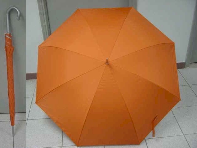 gf-27x8K-auto-02_4.jpg (36543 bytes)