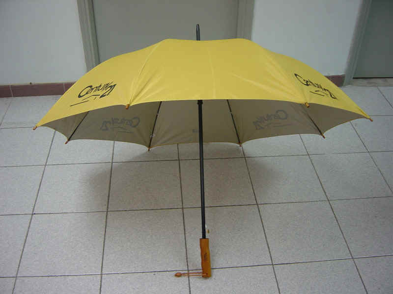 gf-27x8K-auto-03-1.JPG (160637 bytes)