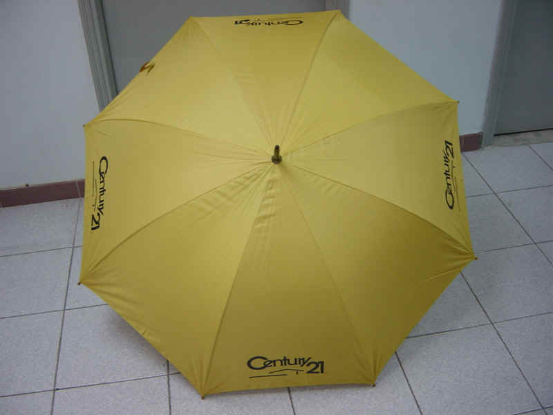 gf-27x8K-auto-03-2.JPG (131114 bytes)