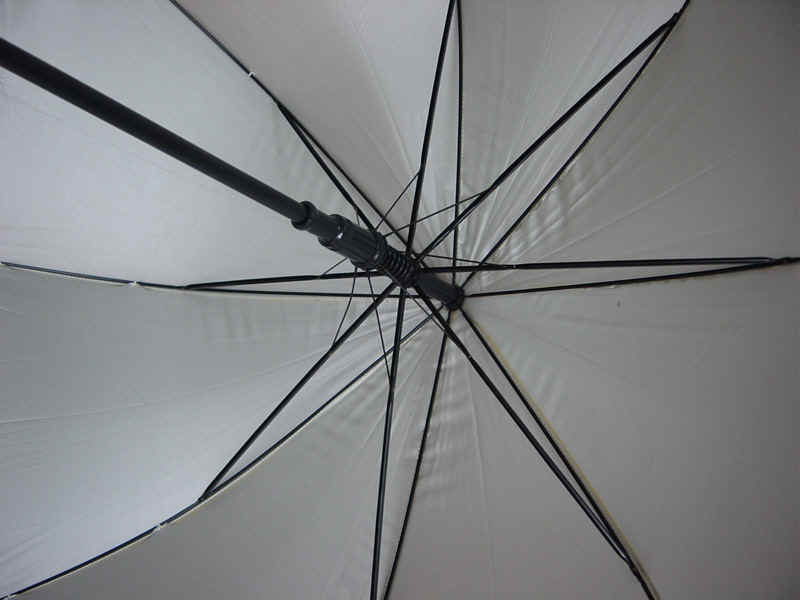 gf-27x8K-auto-03-4.JPG (142426 bytes)