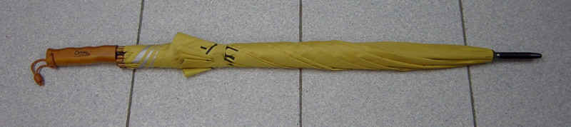 gf-27x8K-auto-03-7.JPG (66979 bytes)