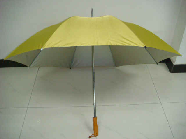 gf-29x8kx2-01.JPG (81964 bytes)