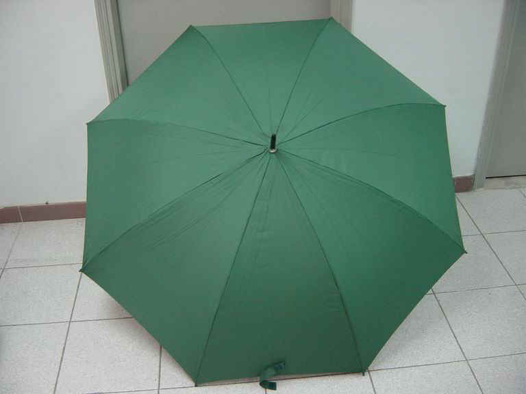 gf-30x8Kx2-01_2.JPG (40230 bytes)