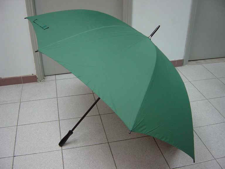 gf-30x8Kx2-01_3.JPG (46414 bytes)