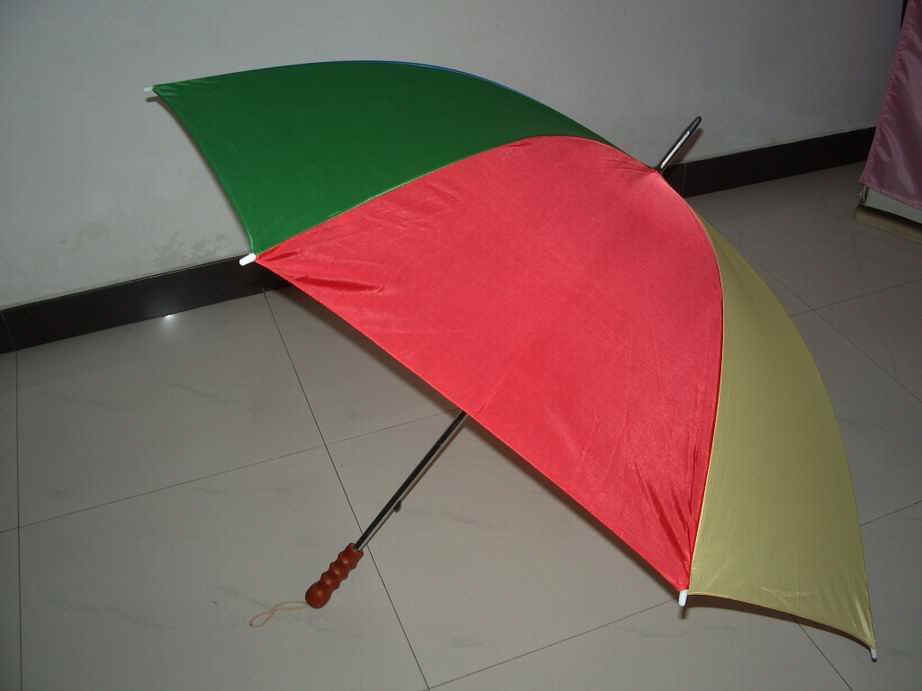 gf-30x8Kx2-03_1.jpg (31182 bytes)