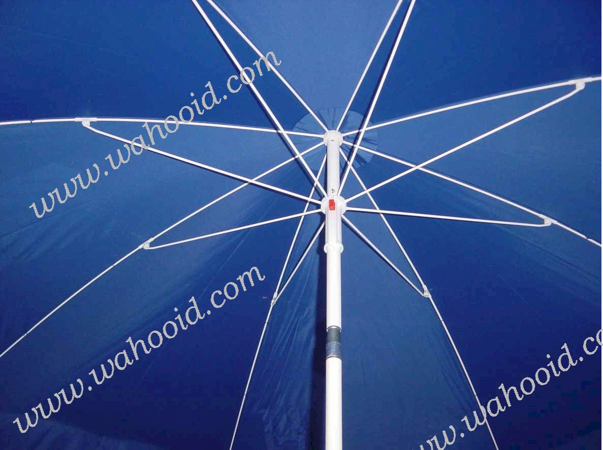 4208_rotate_5.jpg (115426 bytes)