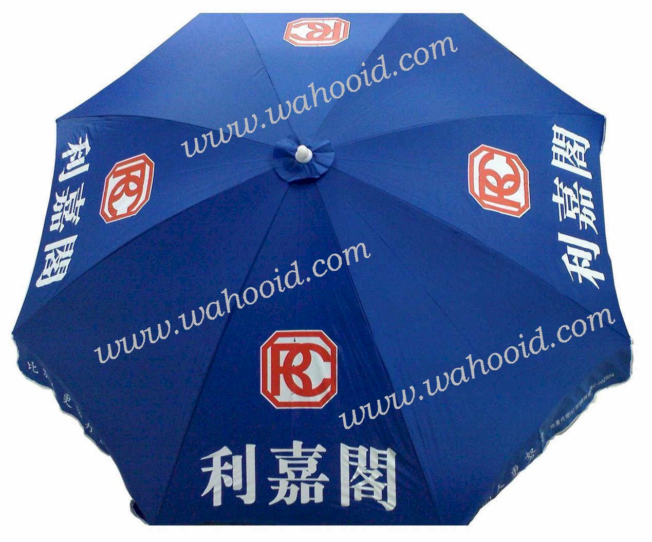 4208_rotate_L.jpg (164078 bytes)